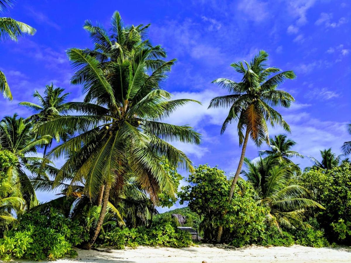Chalets D'Anse Forbans Selfcatering タカマカ エクステリア 写真