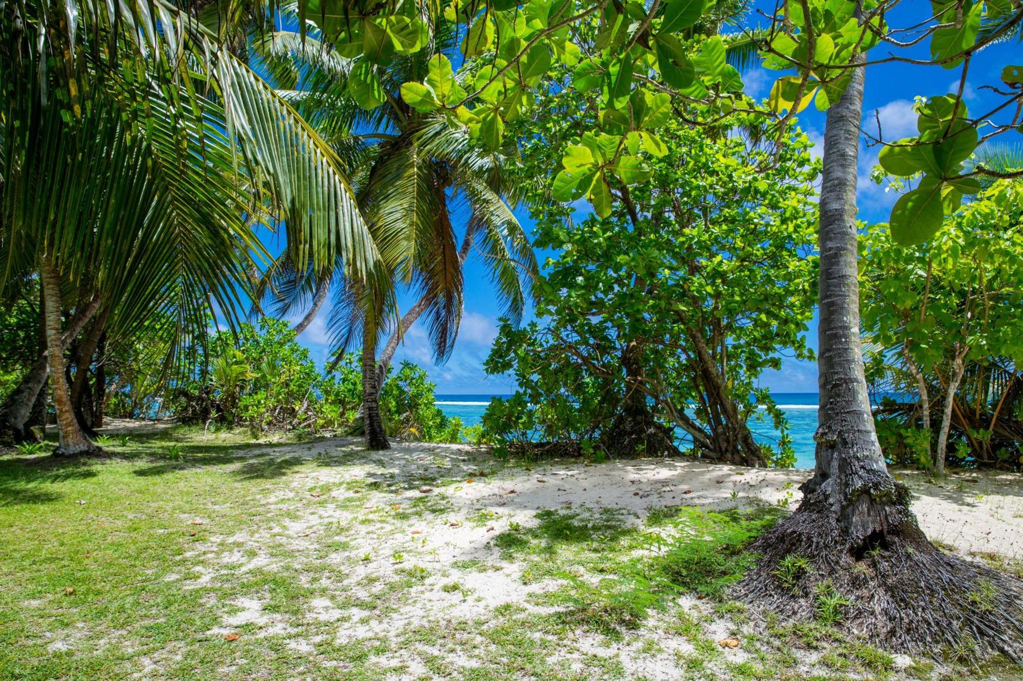 Chalets D'Anse Forbans Selfcatering タカマカ 部屋 写真