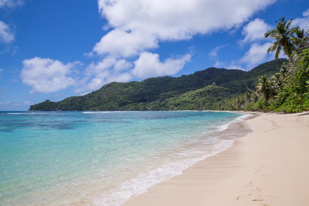 Chalets D'Anse Forbans Selfcatering タカマカ 部屋 写真