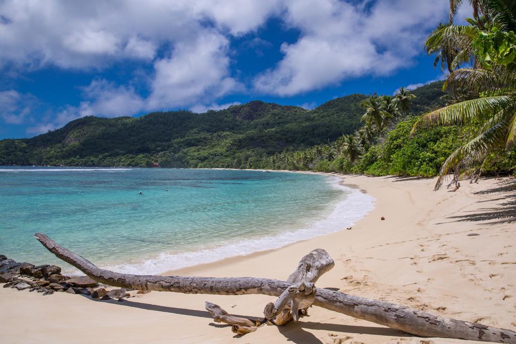Chalets D'Anse Forbans Selfcatering タカマカ エクステリア 写真