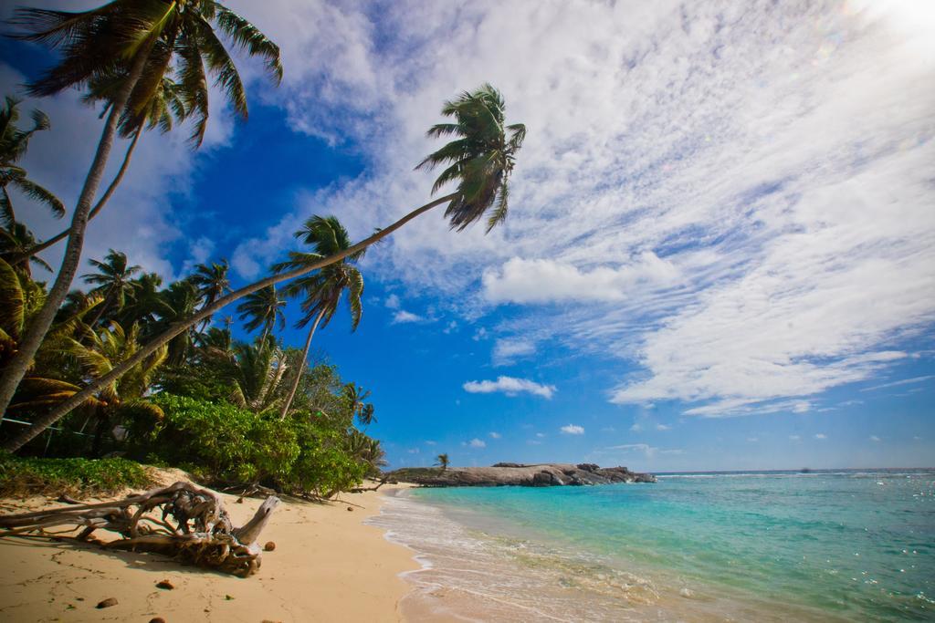 Chalets D'Anse Forbans Selfcatering タカマカ エクステリア 写真
