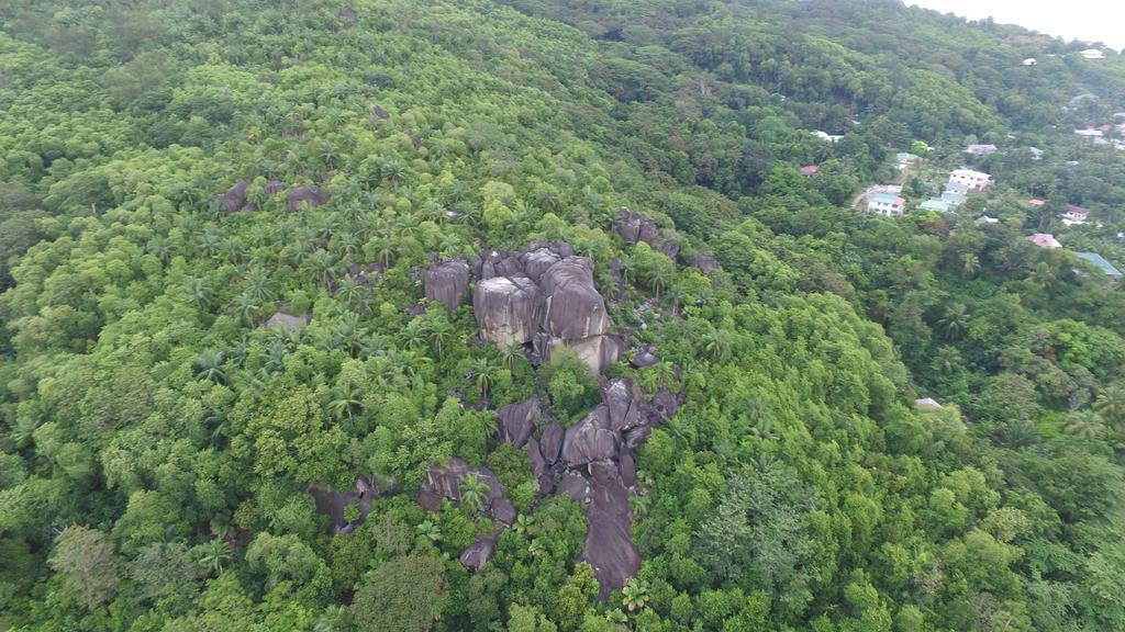 Chalets D'Anse Forbans Selfcatering タカマカ エクステリア 写真