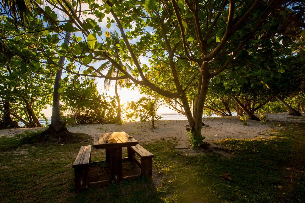 Chalets D'Anse Forbans Selfcatering タカマカ エクステリア 写真